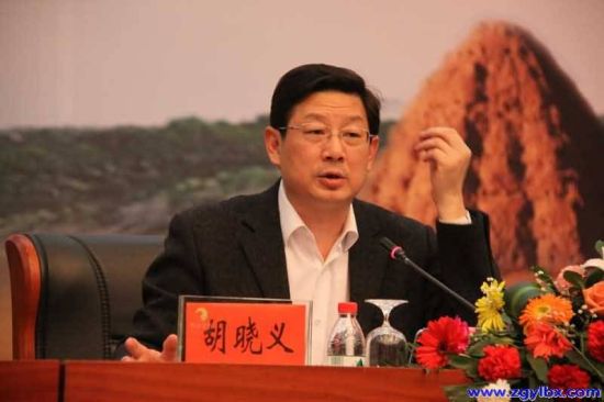 图为人力资源和社会保障部副部长胡晓义。(资料图)